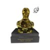 عطر مردانه اسکار چیکن گلم
