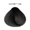 رنگ مو فشینلی گروه طبیعی 3/00