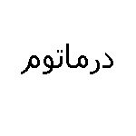 درماتوم